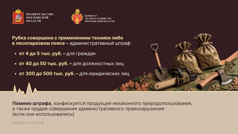 Незаконная рубка горизонталь 04