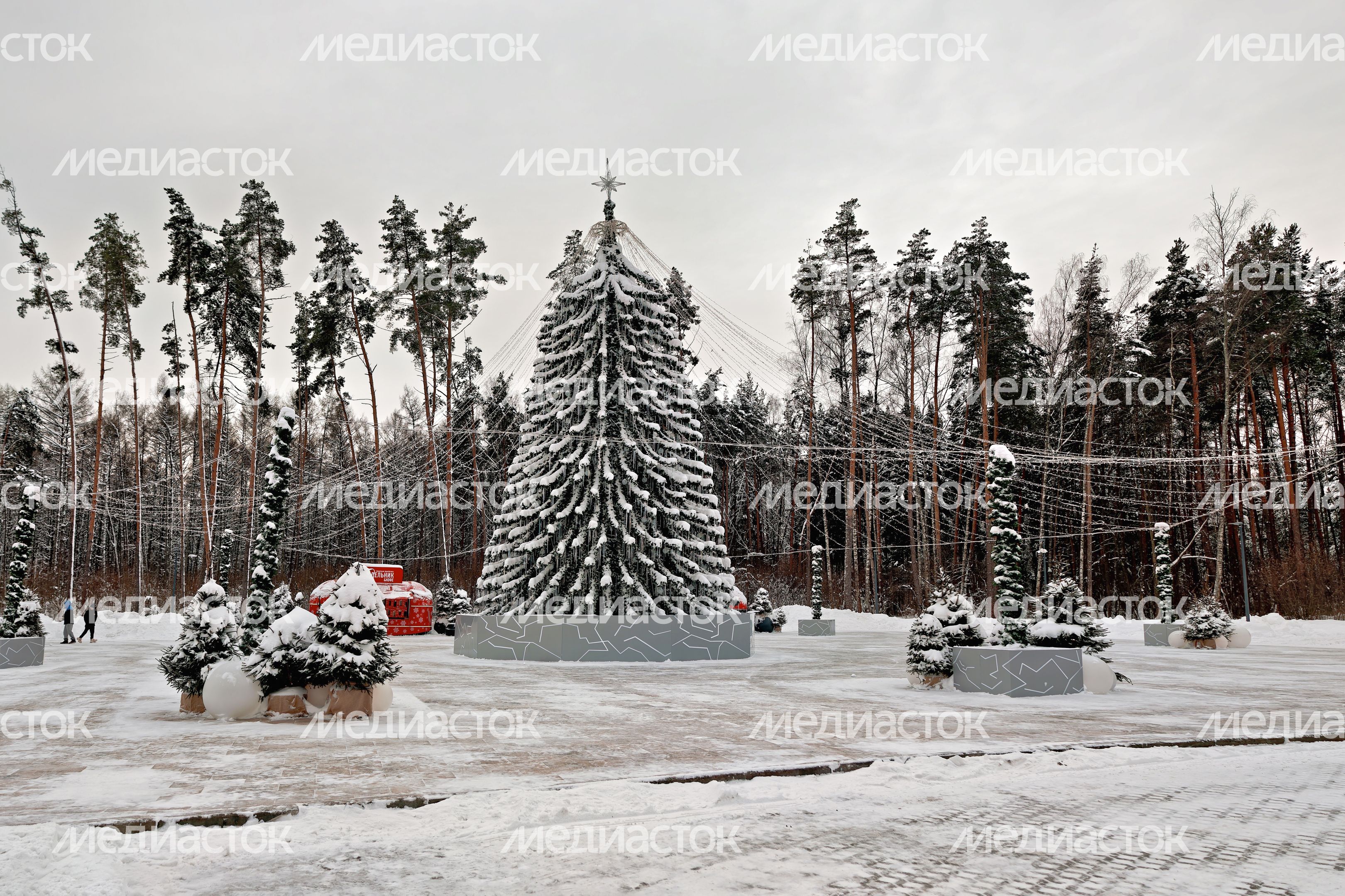 Новогодняя елка в парке Малевича Одинцовского округа
