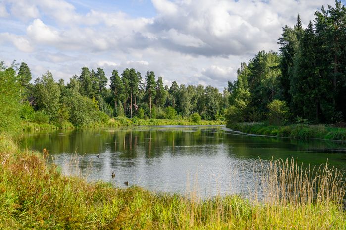 Русловой пруд на р. Серебрянка в Пушкино