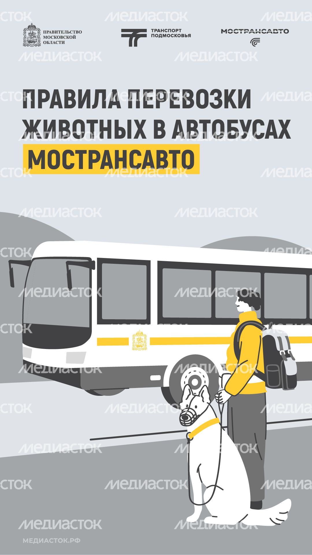 Правила перевозки животных вертикаль 01