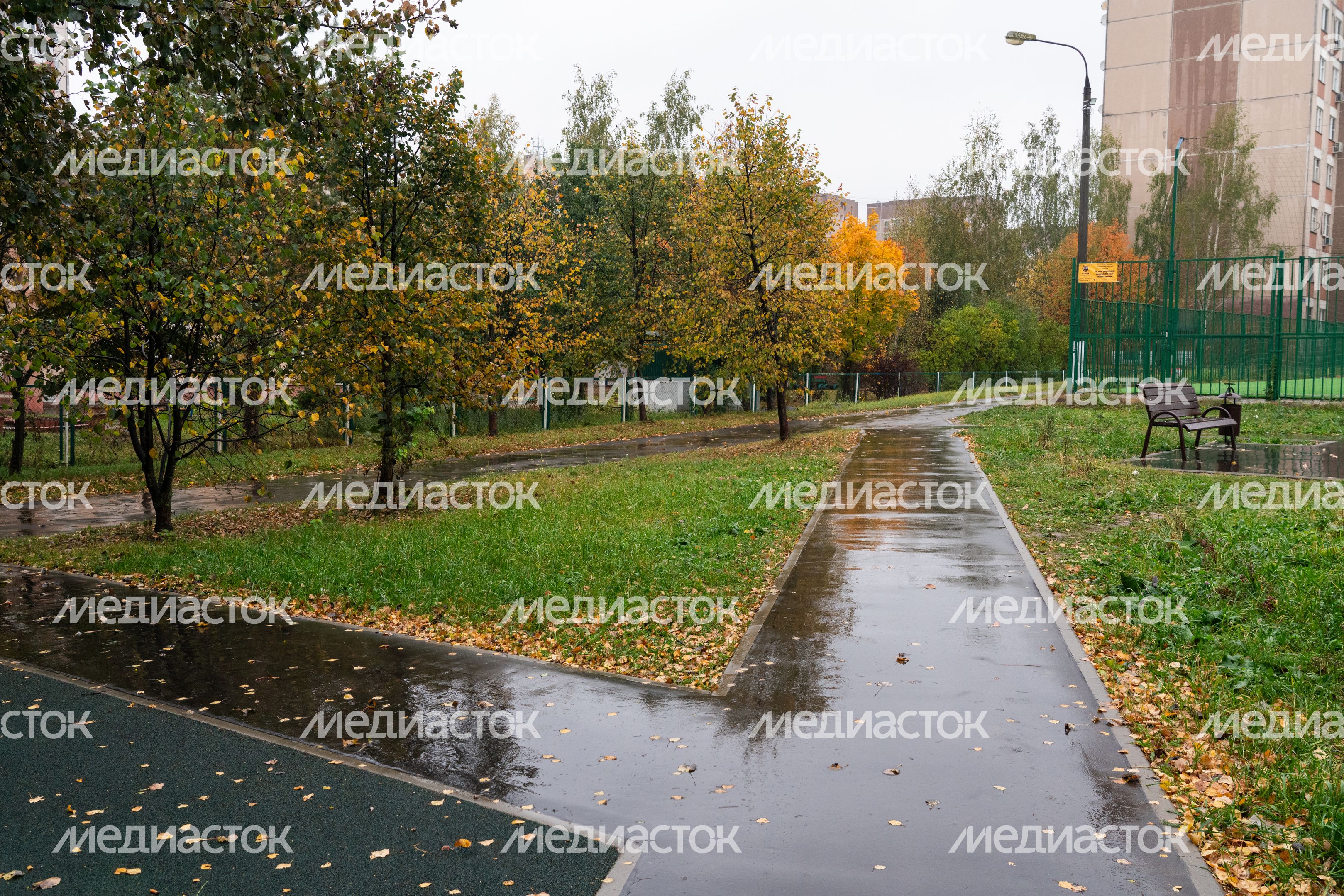 Благоустроенные народные тропы на улице Молодежной в Нахабино округа Красногорск Благоустроенные народные тропы на улице Молодежной в Нахабино округа Красногорск