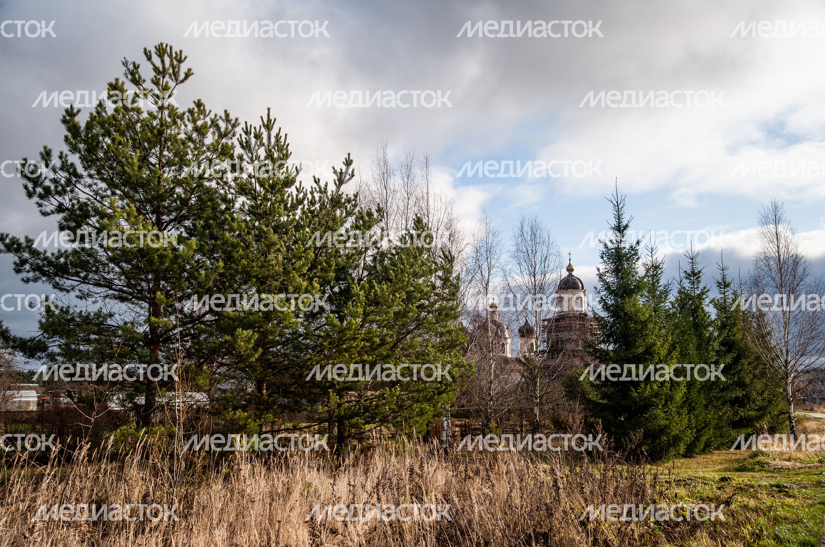 Церковь Преображения Господня в деревне Спасс-Косицы