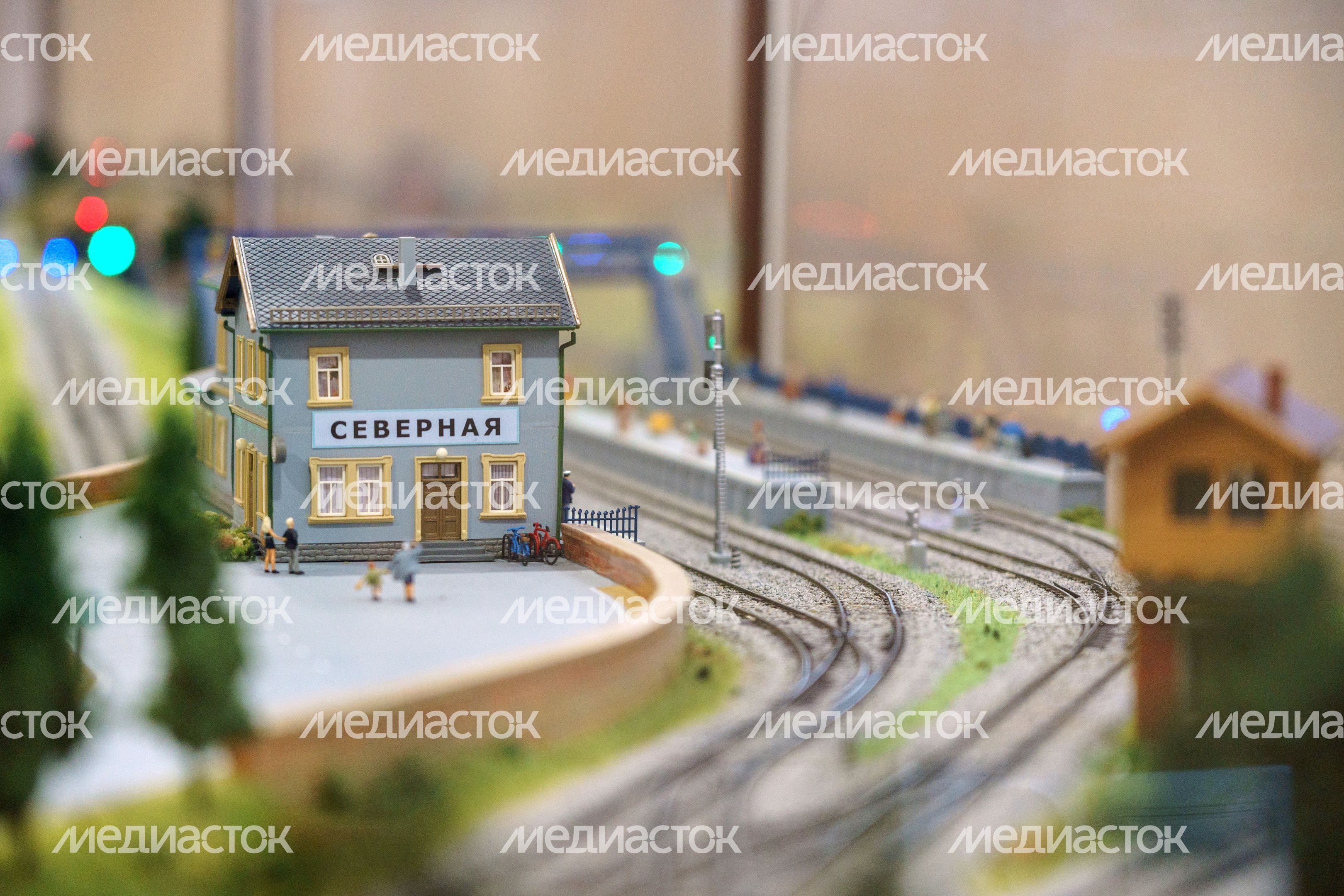 Московская детская железная дорога в поселке Кратово