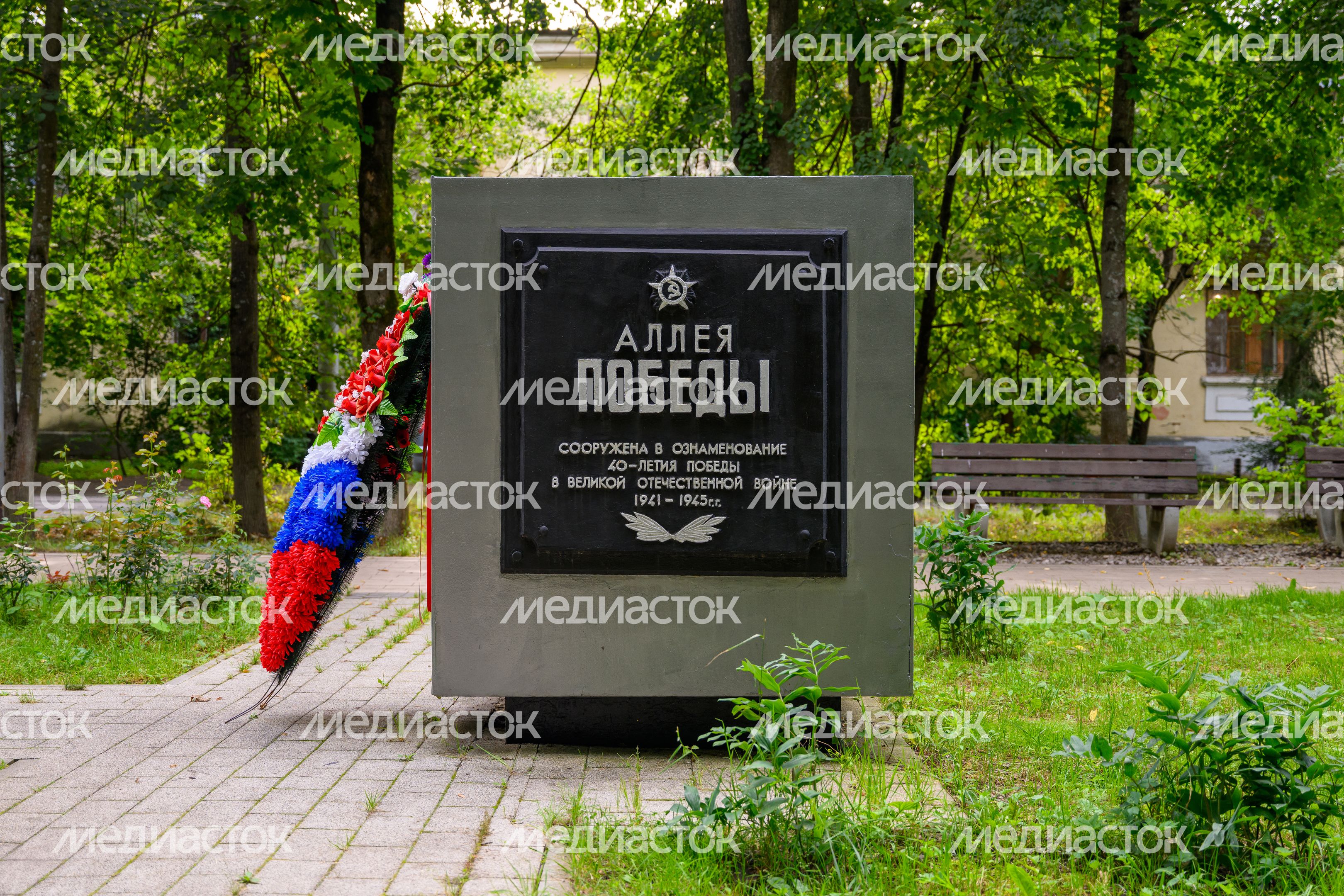 Аллея Победы в Балашихе
