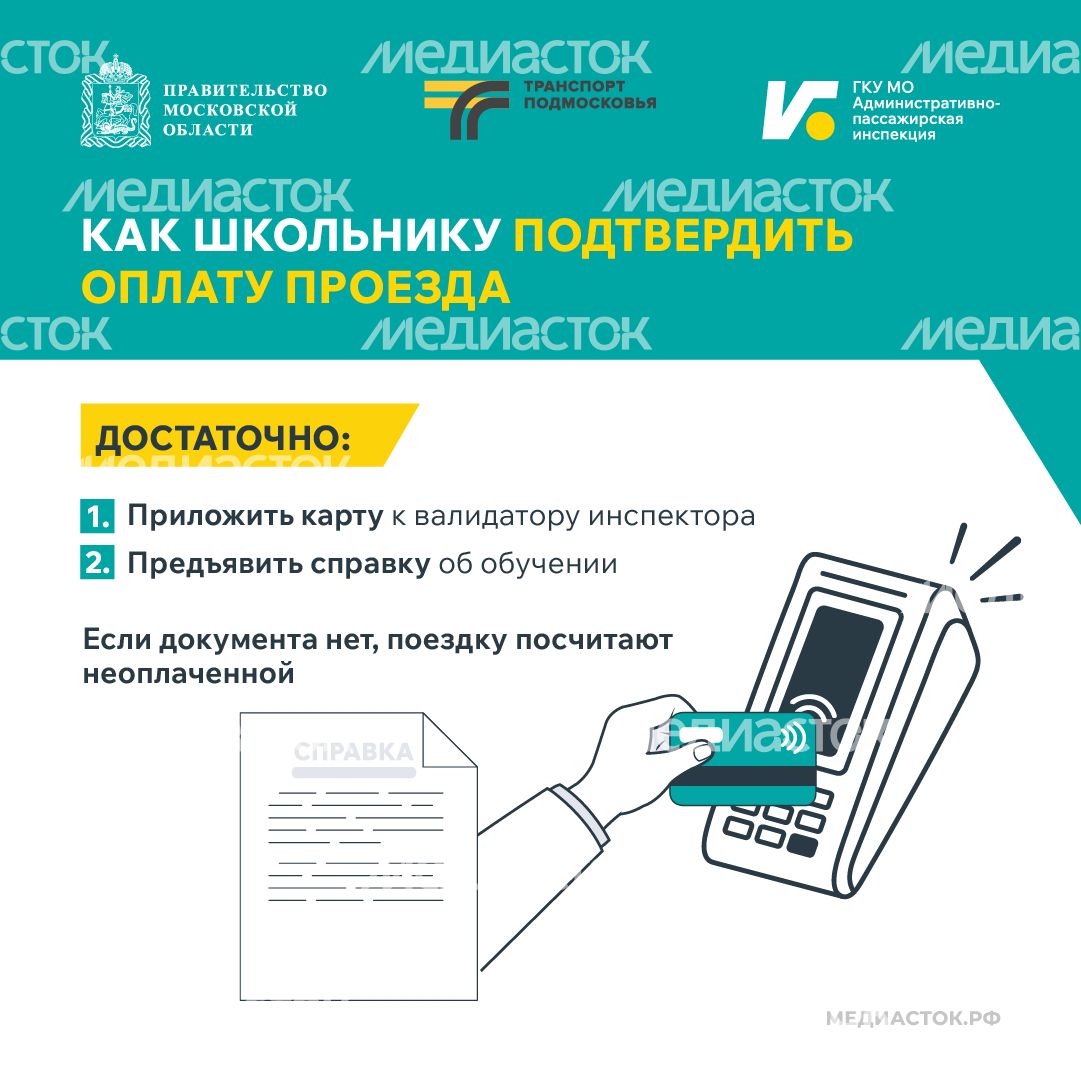 Поездки школьников в автобусах квадрат 08