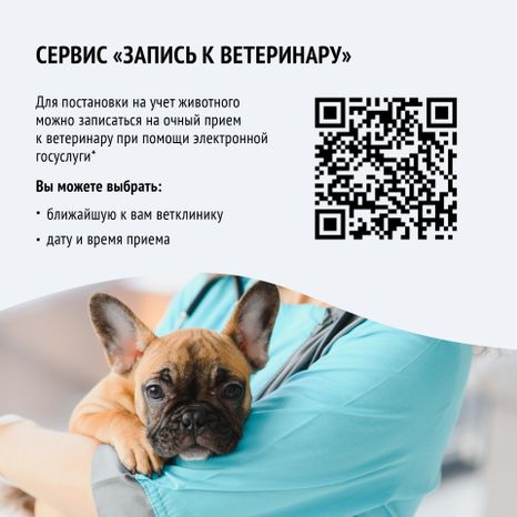 Квадрат зарегистрировать домашнее животное_06-100.jpg