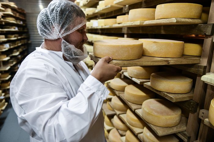 Работа сыроварни Олега Сироты в подмосковье