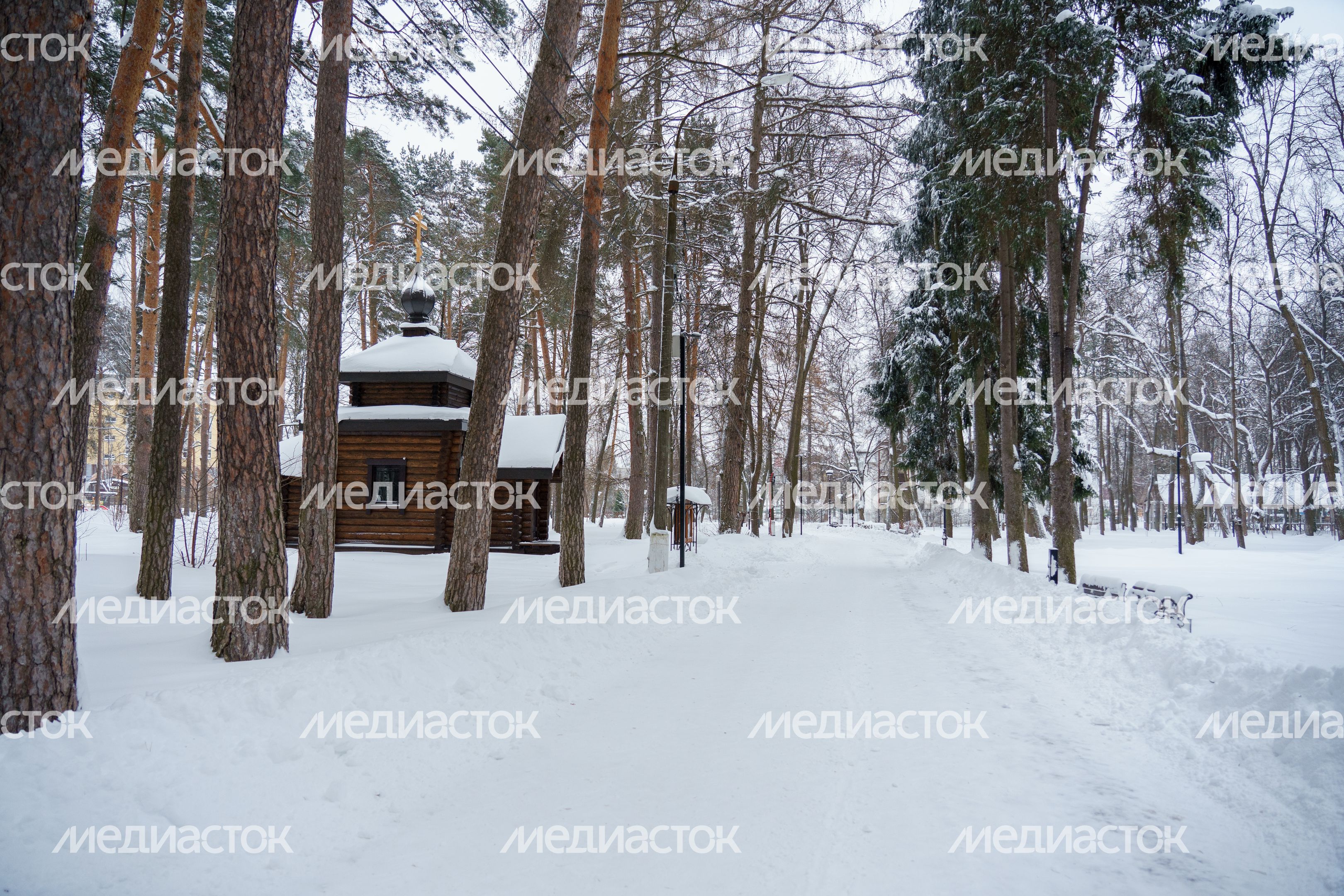 Богородский. Ногинск. Дом-музей семьи А.И. Морозова Богородский. Ногинск. Дом-музей семьи А.И. Морозова
