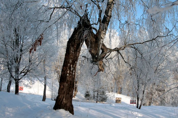 Саввино-Сторожевский монастырь в Звенигороде