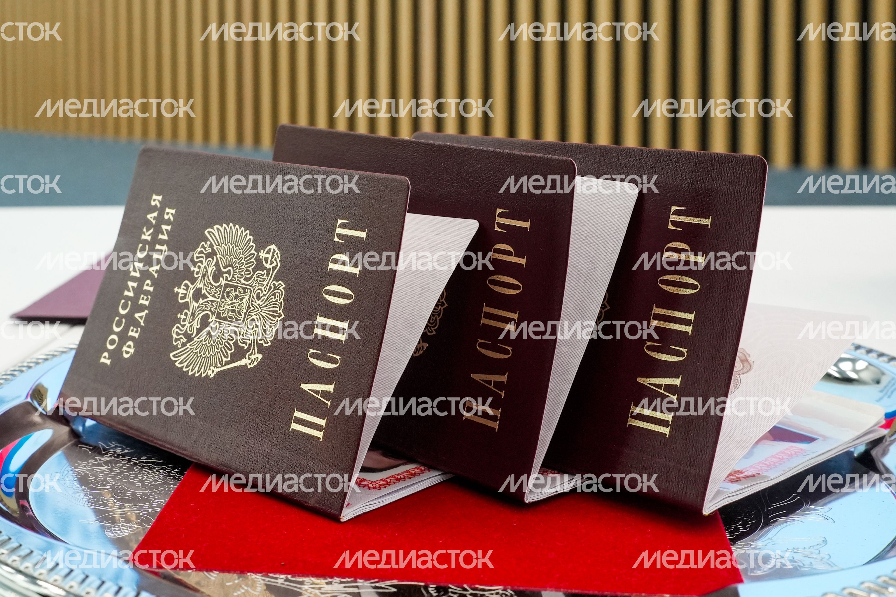 Юным жителям Подмосковья вручили первые паспорта гражданина РФ Юным жителям Подмосковья вручили первые паспорта гражданина РФ