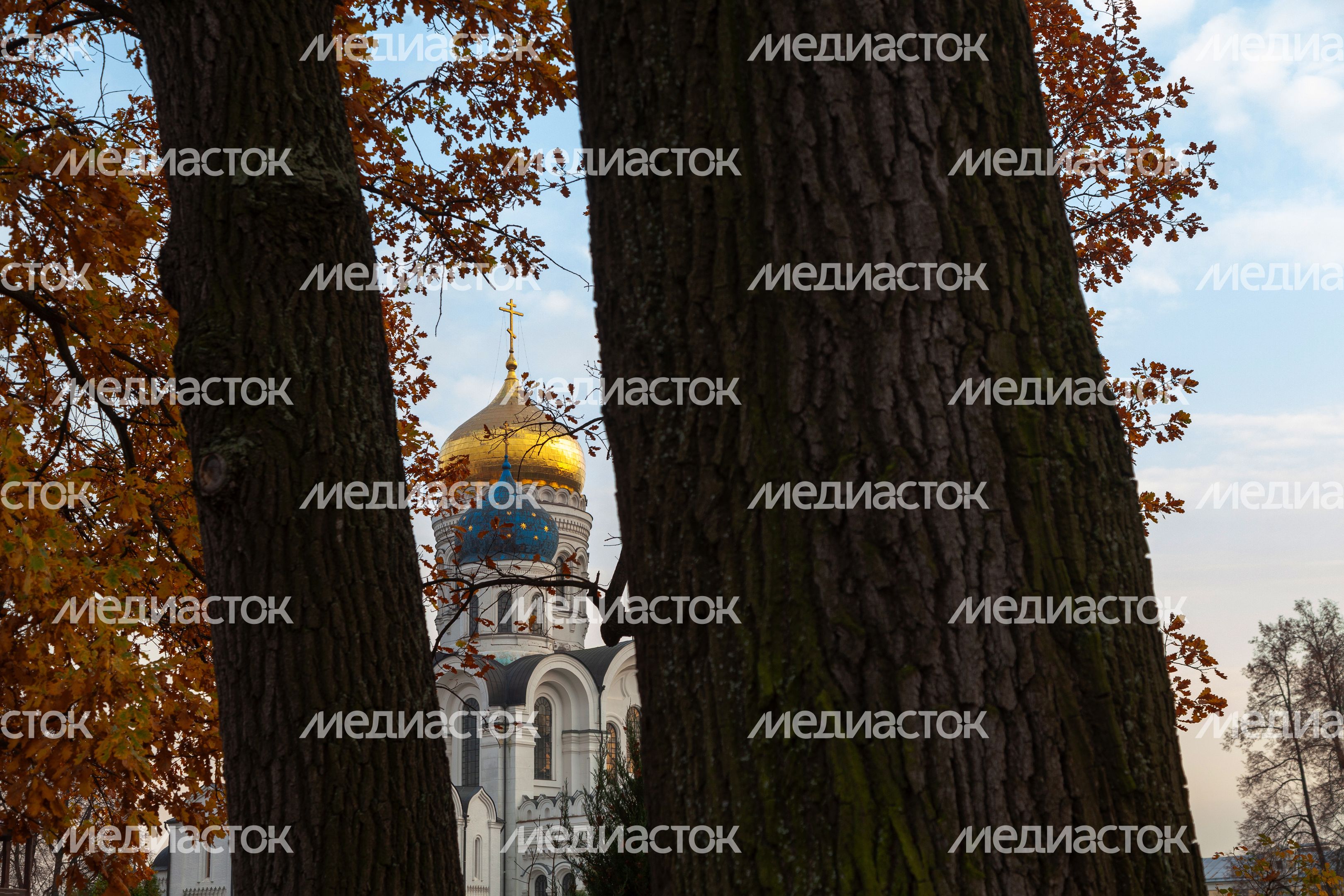 Осенние виды Николо-Угрешского монастыря города  Дзержинский округа Люберцы
