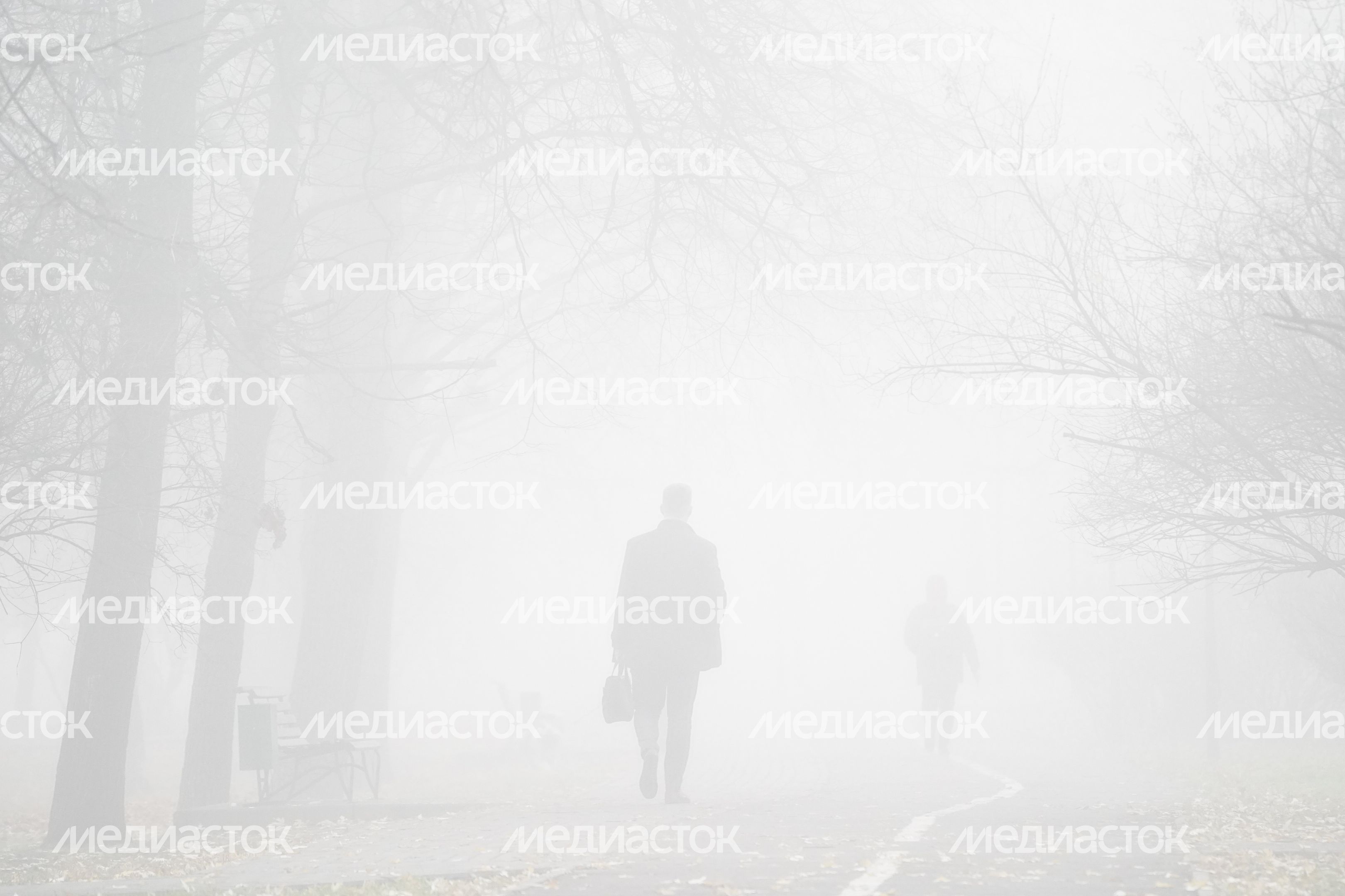 Аномальный туман в Москве