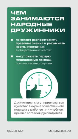 Как стать народным дружинником вертикаль 04