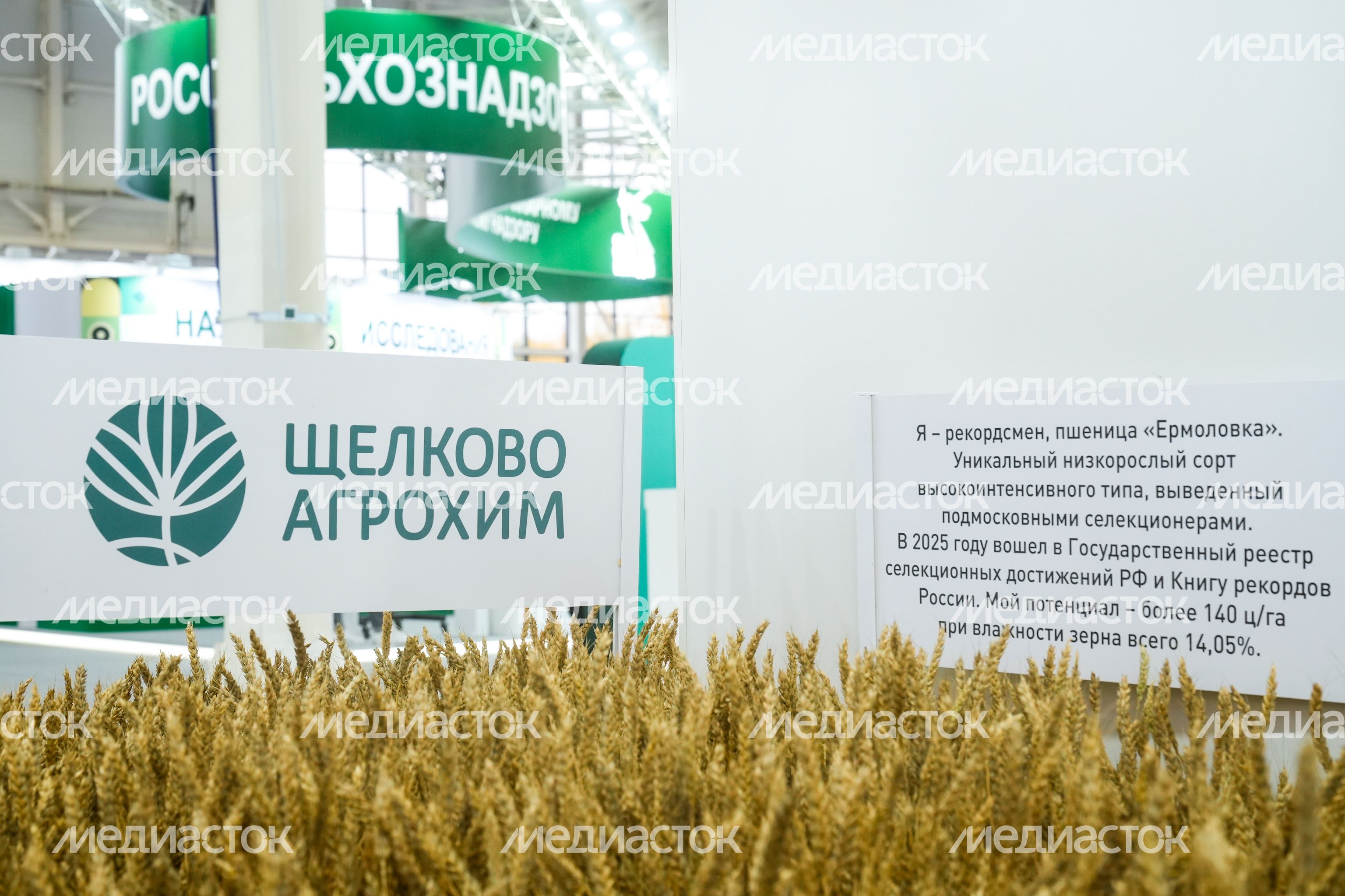 Стенд Подмосковья на выставке "Золотая осень - 2025" Стенд Подмосковья на выставке "Золотая осень - 2025"