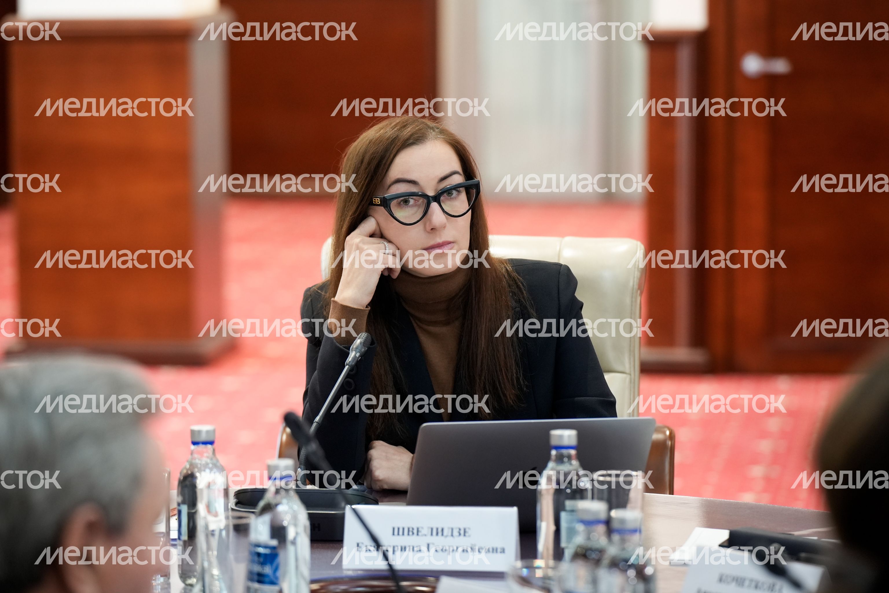 Екатерина Швелидзе на заседании Межпарламентской комиссии по сотрудничеству России и Белоруссии