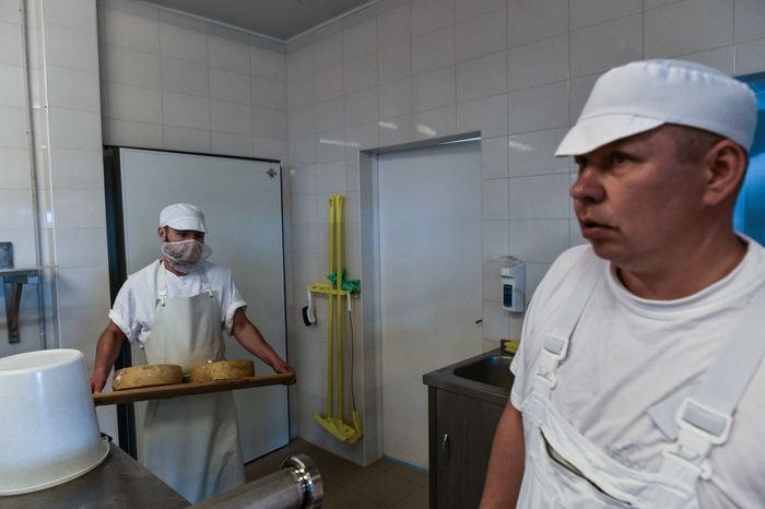 Работа сыроварни Олега Сироты в подмосковье