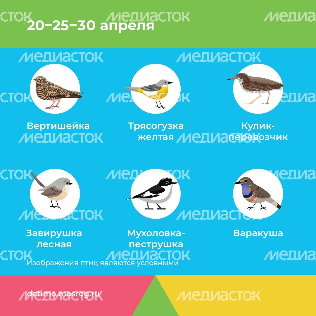 весна летит - квадрат - 07
