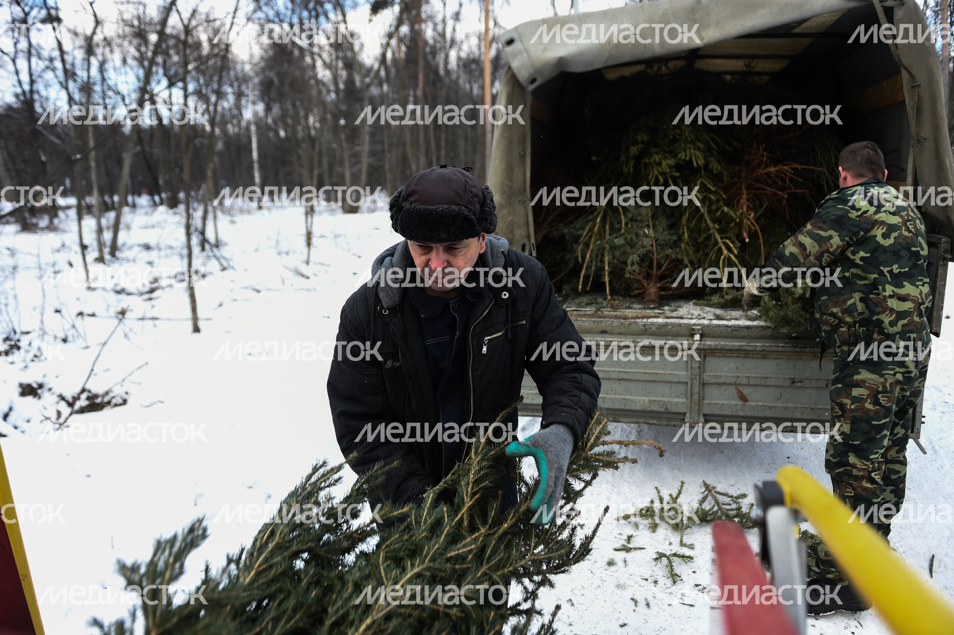 Утилизация елок после Нового года в Москве