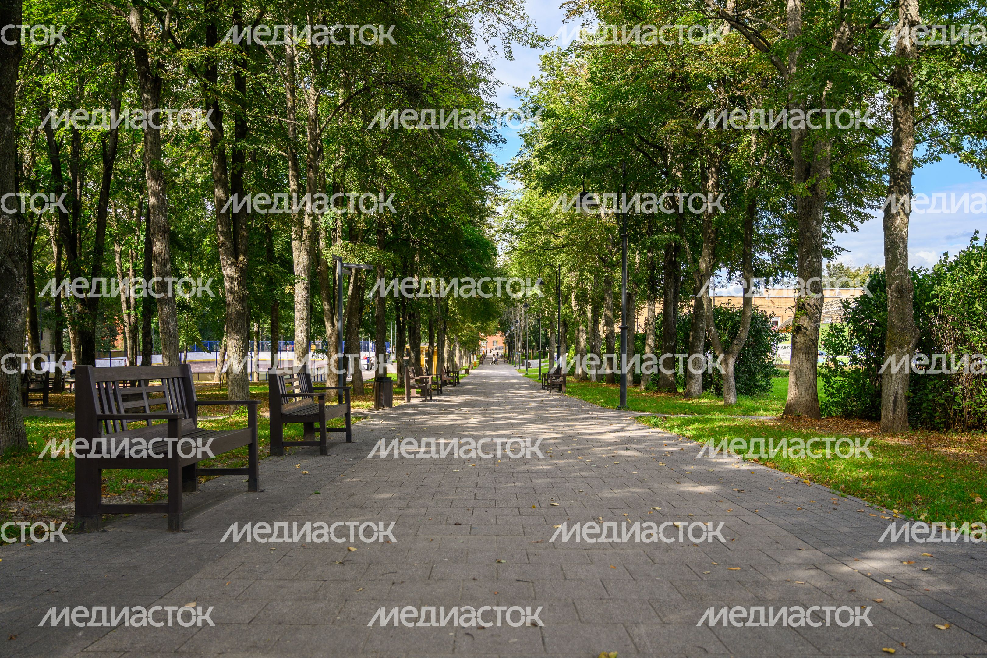 Зарайский центральный парк культуры и отдыха летом Зарайский центральный парк культуры и отдыха летом