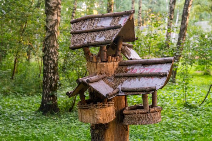Кормушка для белок и птиц в лесопарке «Городской лес» в Домодедово