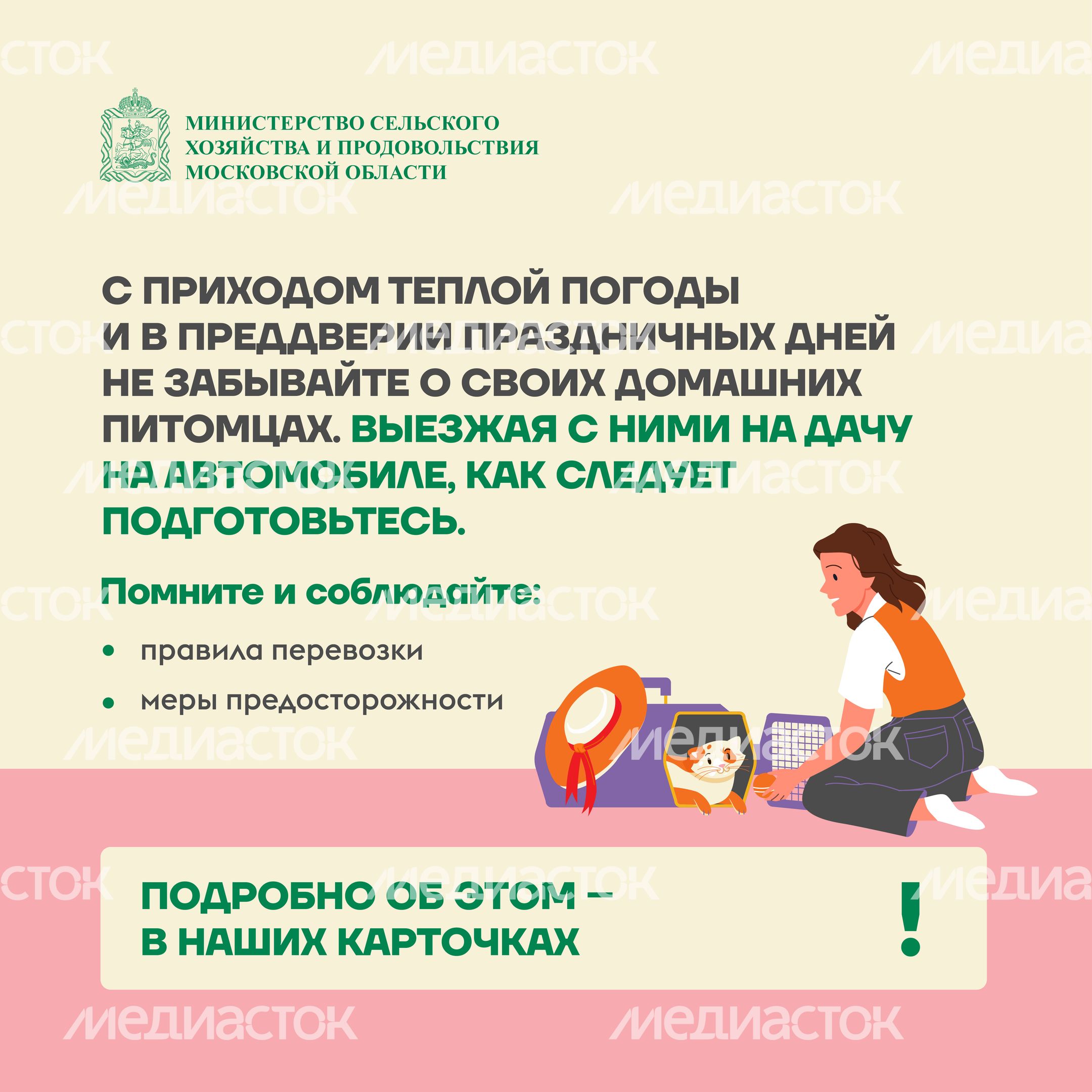 животные на даче квадрат (2)