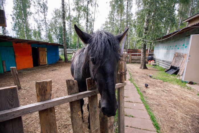 Домодедово. Музей Сказок