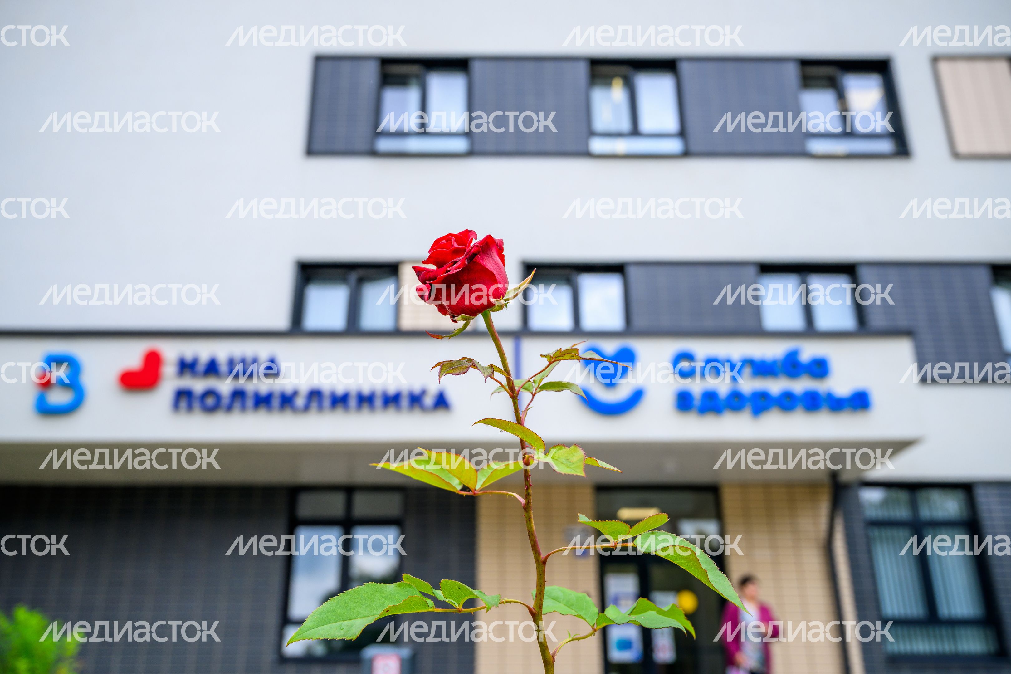 Поликлиника в ЖК «Пригород Лесное» города Видное Ленинского округа