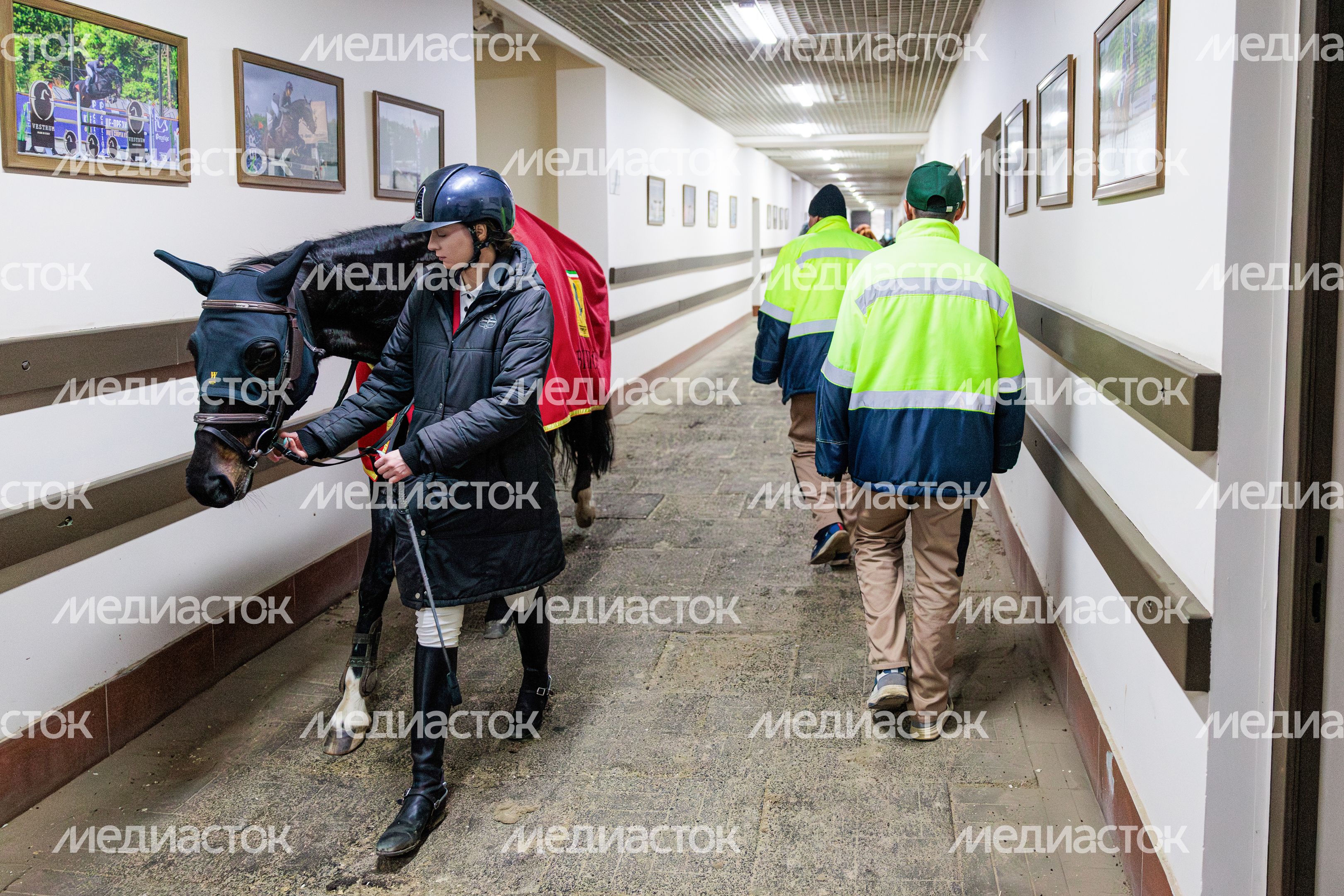 Всероссийские соревнования по конному спорту «Конкурный бум» в КСК «Виват, Россия!» Ленинского округа Всероссийские соревнования по конному спорту «Конкурный бум» в КСК «Виват, Россия!» Ленинского округа