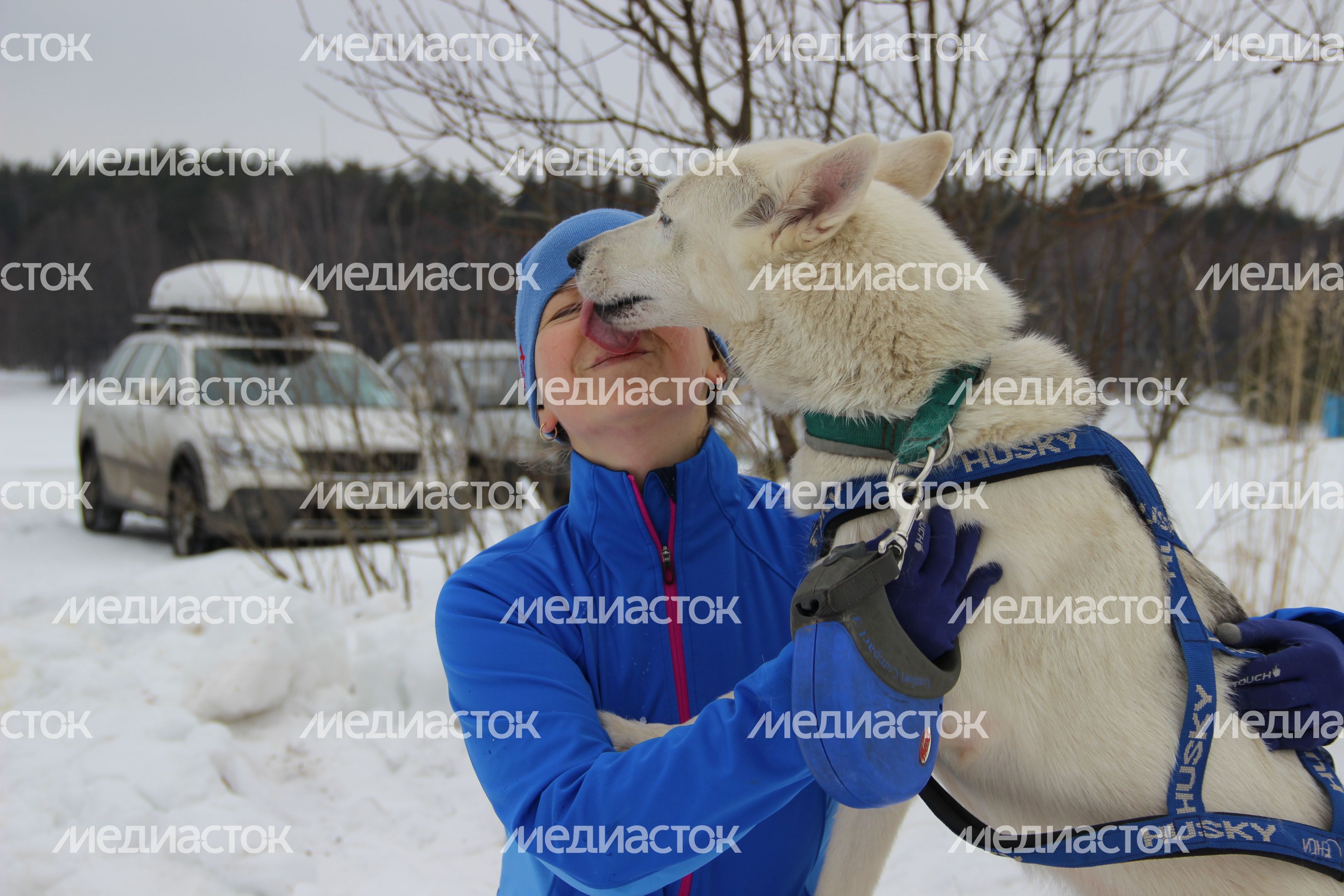 Гонка на собачьих упряжках в Егорьевске