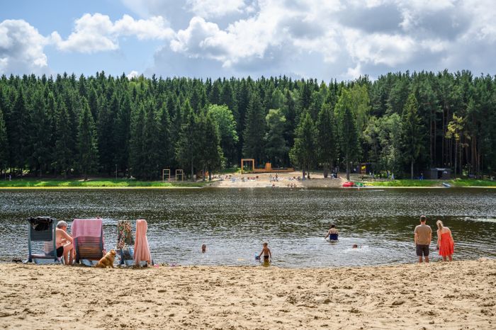 Лесопарк «Загорское море» открыли летом в Сергиевом Посаде