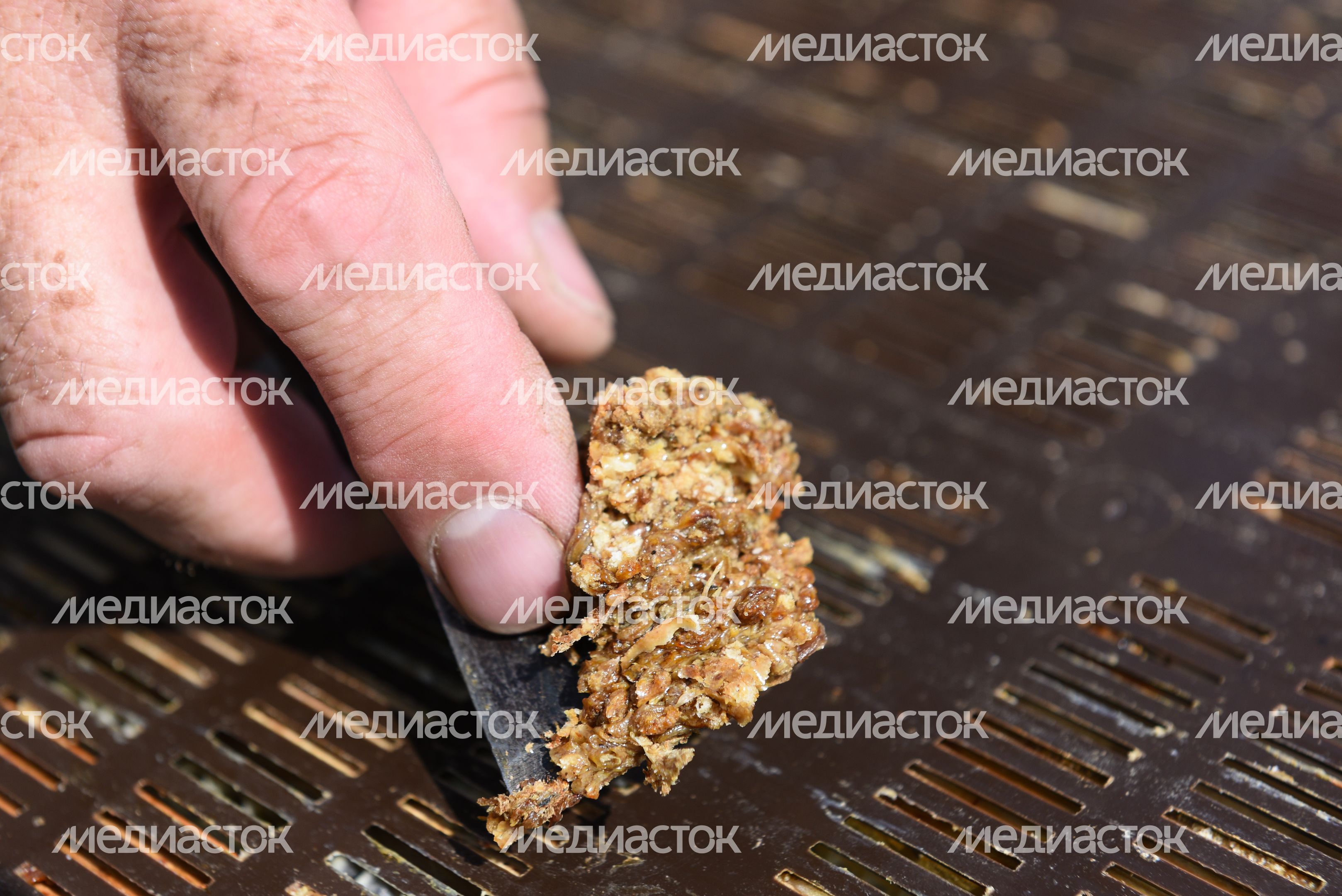 Пчеловод из Королева, 2 часть