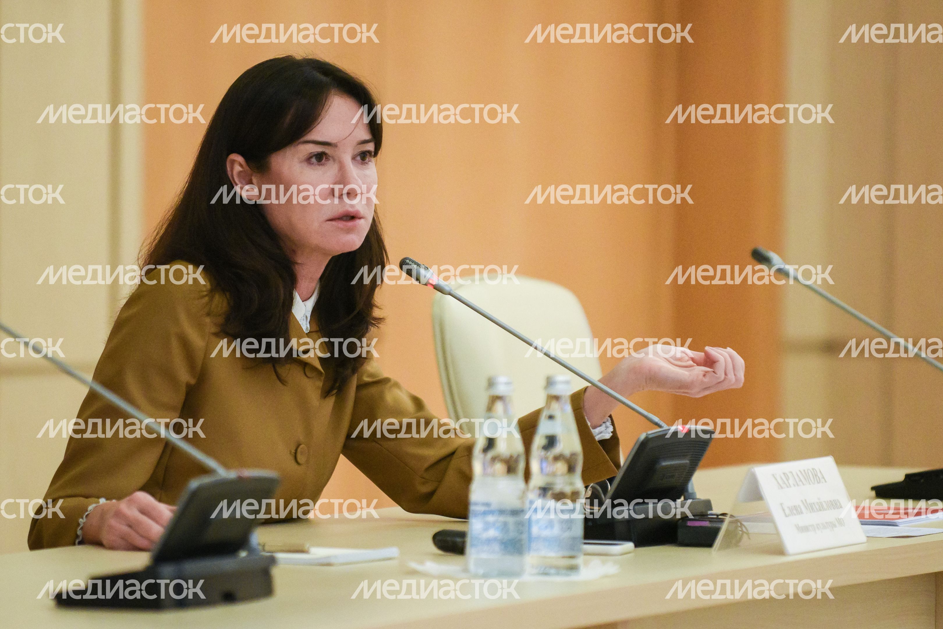 Брифинг министра культуры Московской области по итогам 2020 года