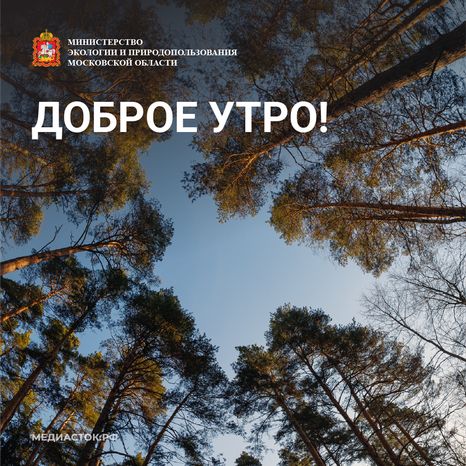Доброе утро квадрат 05