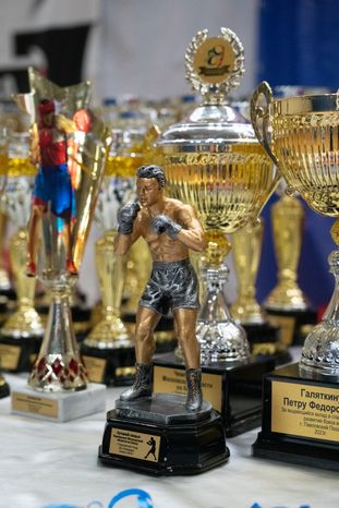 Чемпионат МО по боксу