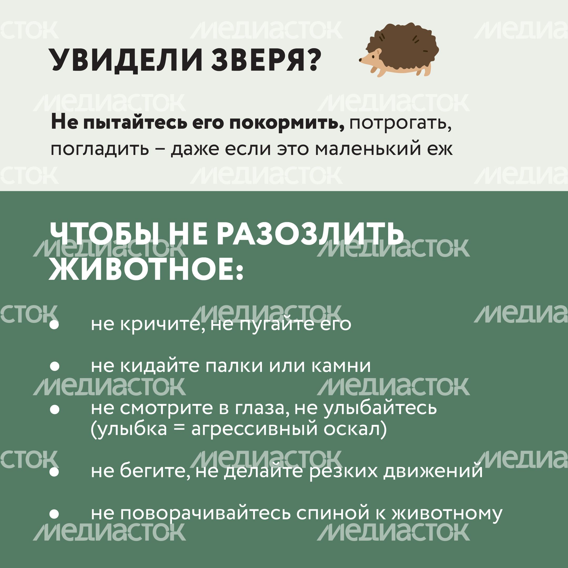 Квадрат Безопасность в лесу 04.jpg