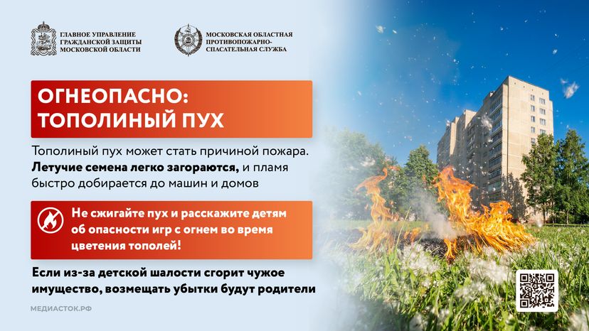 Огнеопасно тополиный пух горизонталь 01