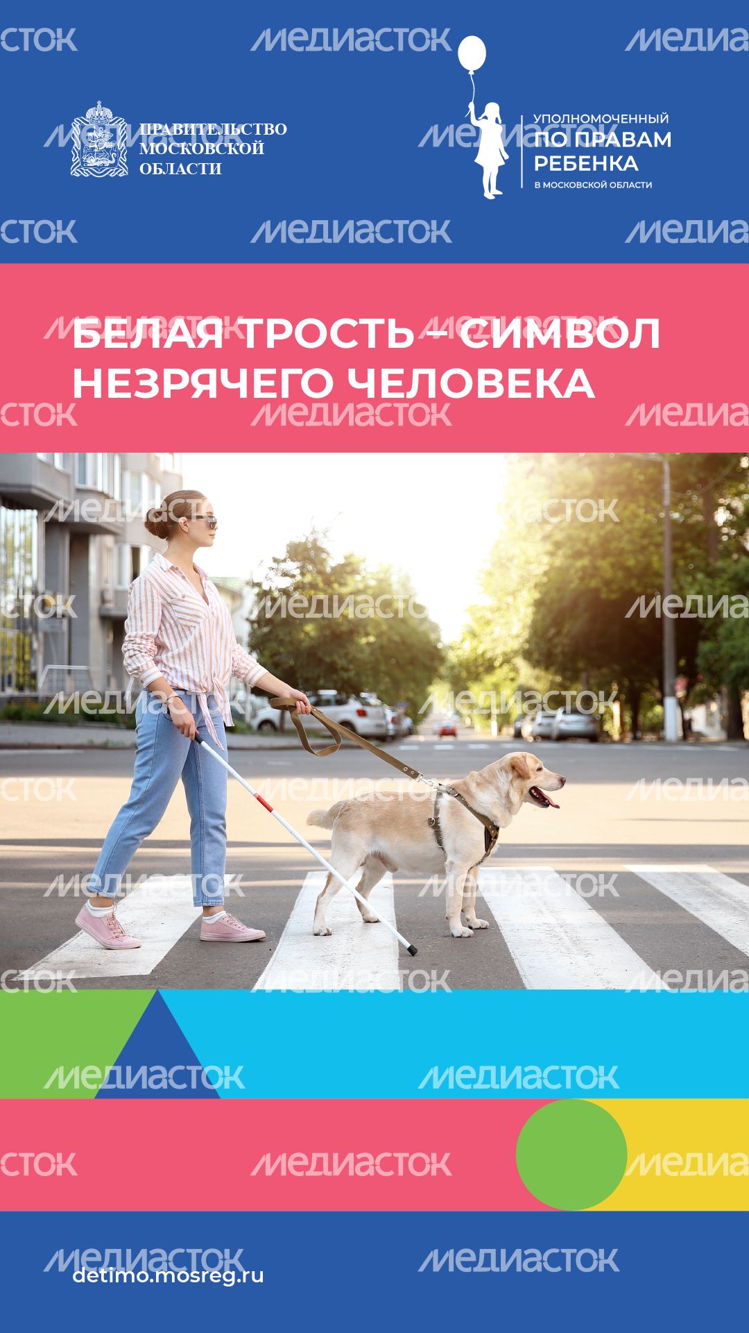 белая трость_вертикаль_01.png