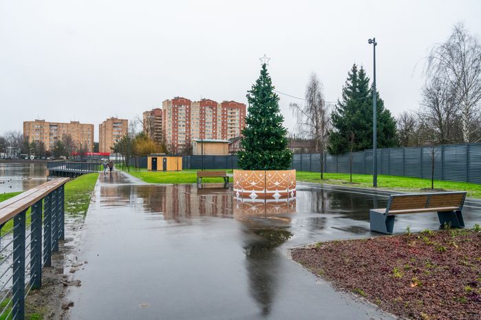 Новогодняя елка у Торфяного озера в Нахабино округа Красногорск
