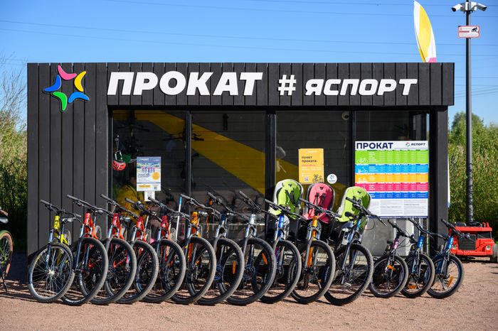 Прокат велосипедов в парке Малевича осенью