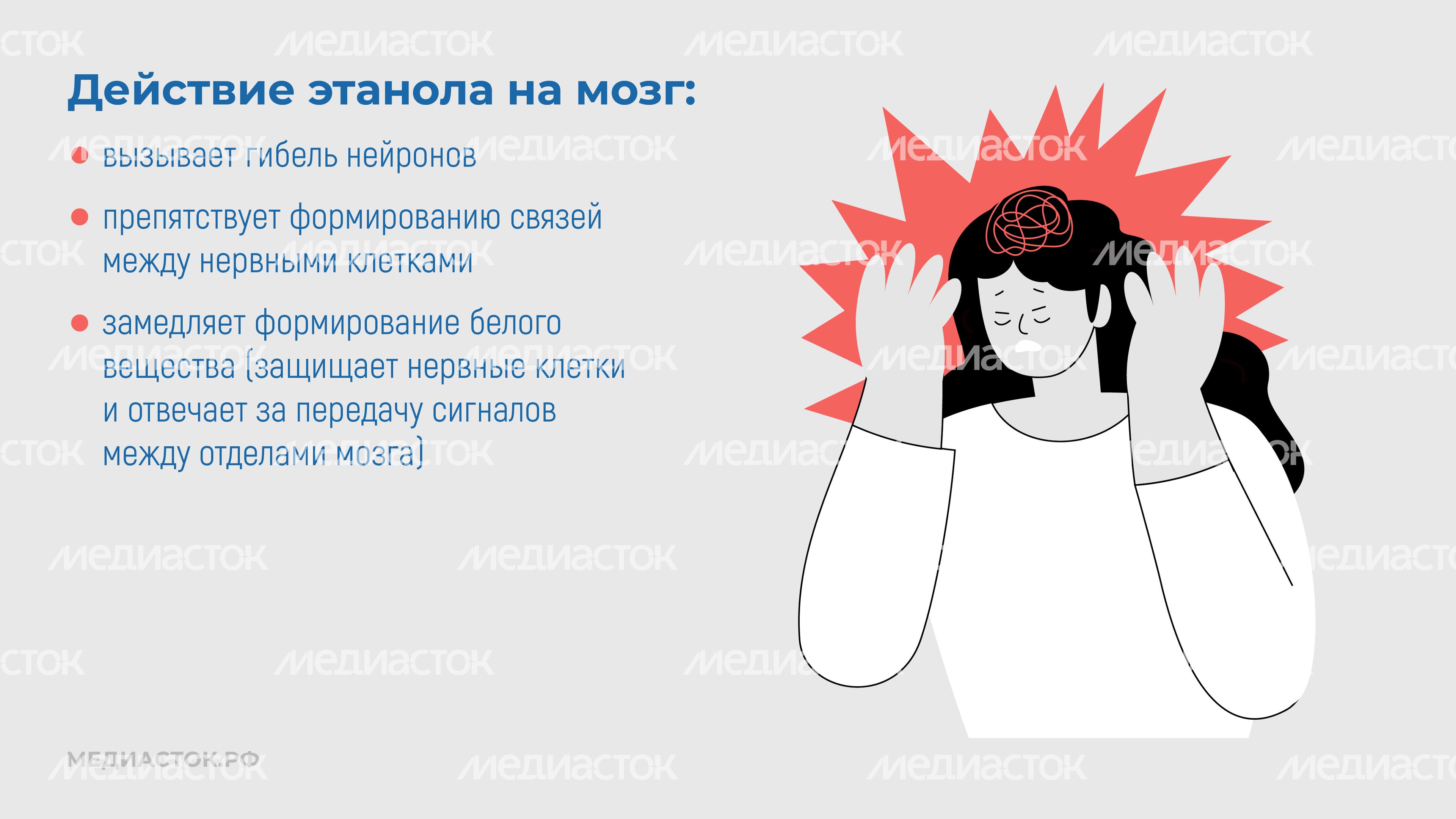 Алкоголь и развитие мозга горизонталь 05 Алкоголь и развитие мозга горизонталь 05