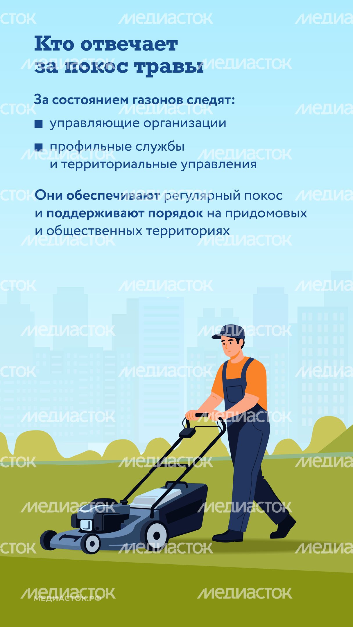 Как ухаживают за газонами вертикаль 02 Как ухаживают за газонами вертикаль 02