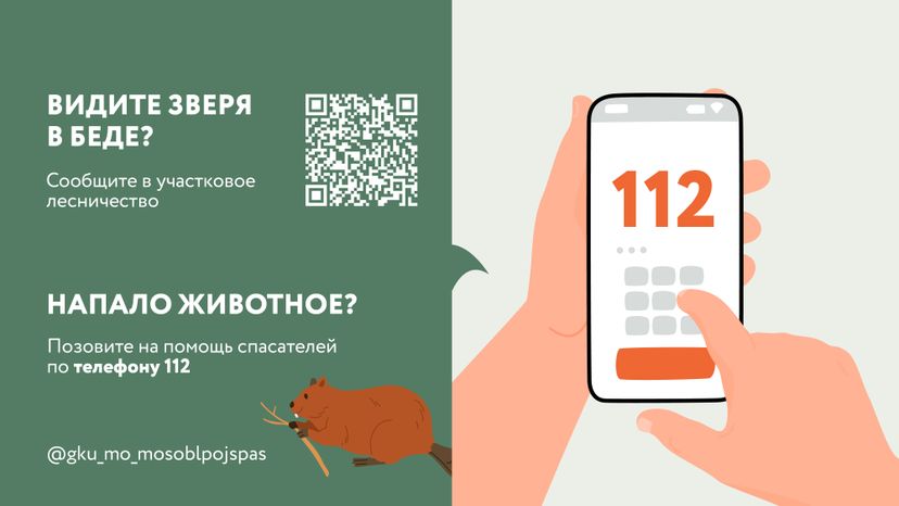 Горизонтали Безопасность в лесу 07.jpg