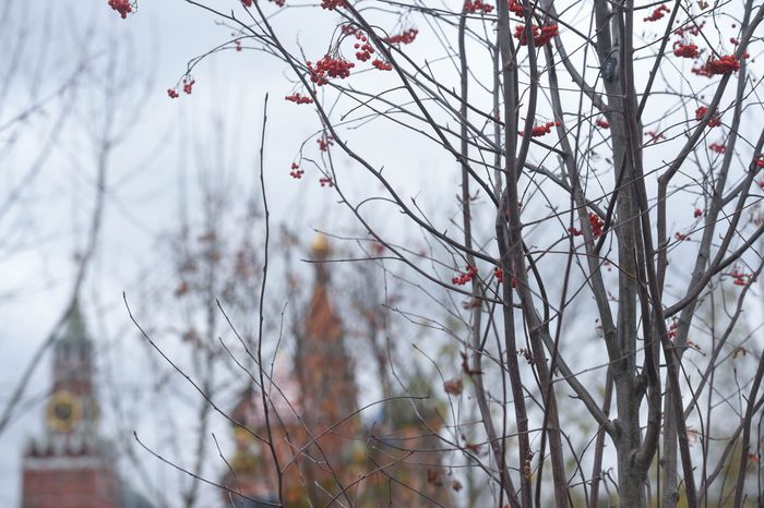 Парк «Зарядье» 
