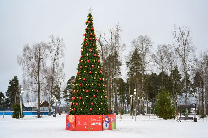 Новогодняя елка в городском парке культуры и отдыха Электрогорска Павлово-Посадского округа зимой