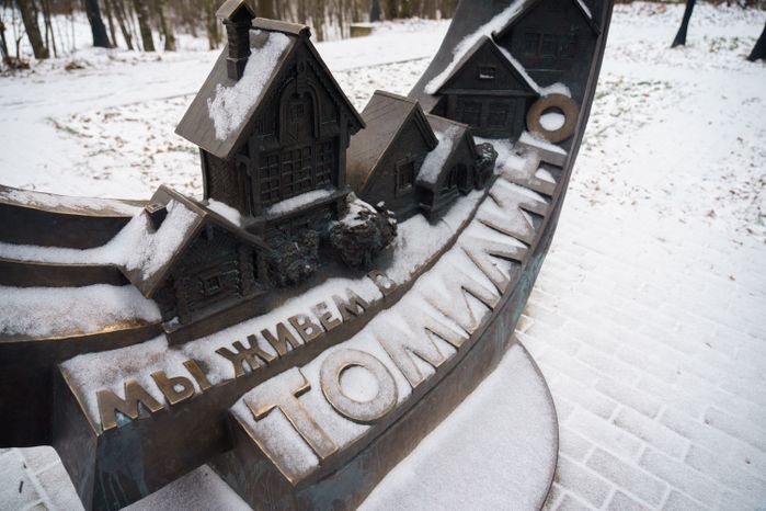 Люберцы. Томилинский лесопарк. Зима