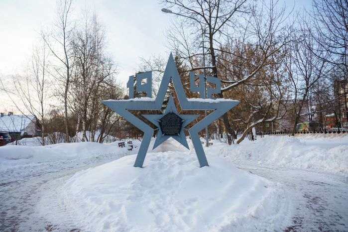 Домодедово. Аллея 60-летия Победы