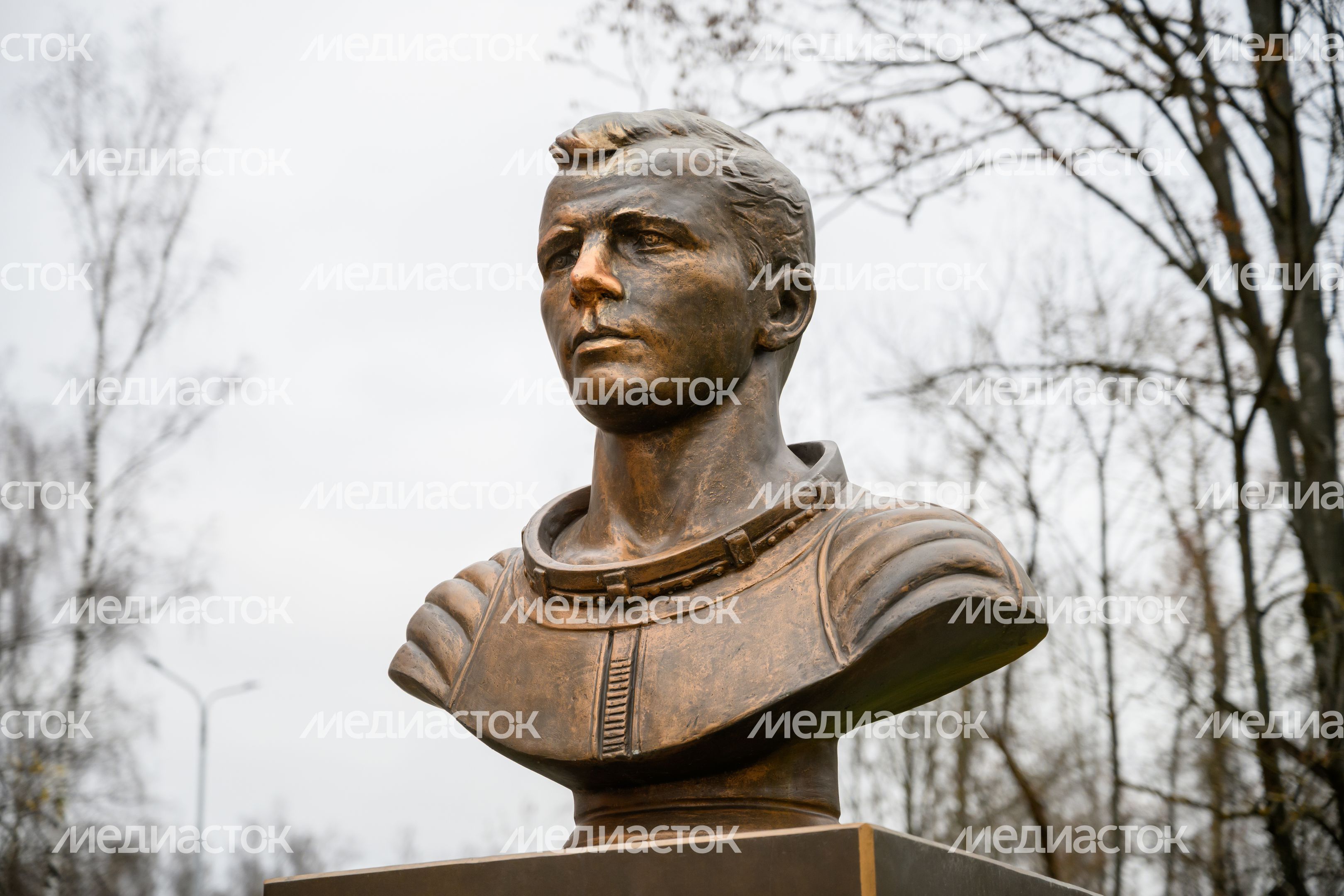 Бюст Ю.А. Гагарина у лицея №14 в Щелково Бюст Ю.А. Гагарина у лицея №14 в Щелково