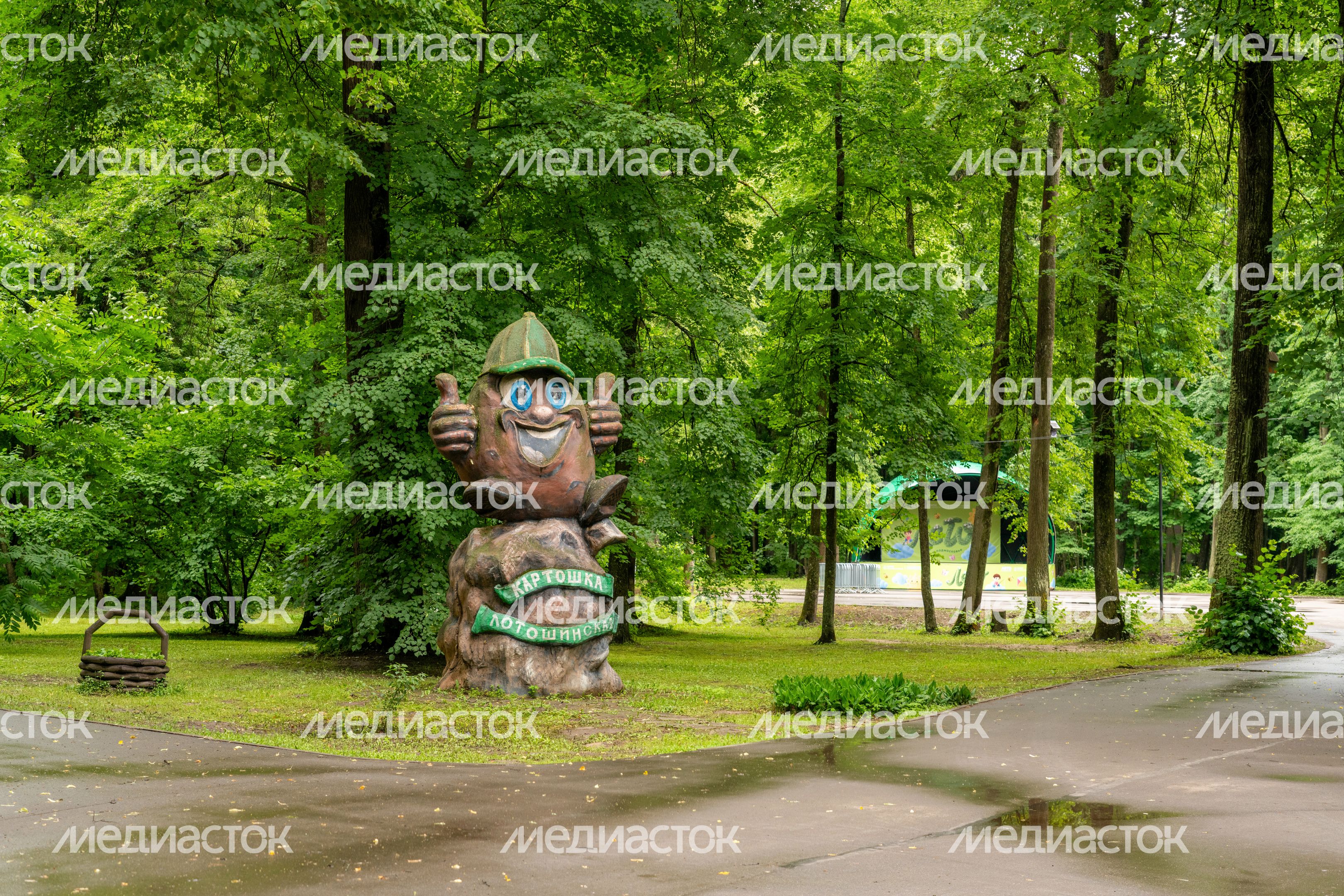 Памятник картошке в Лотошинском парке культуры и отдыха. Лето 2026 Памятник картошке в Лотошинском парке культуры и отдыха. Лето 2026