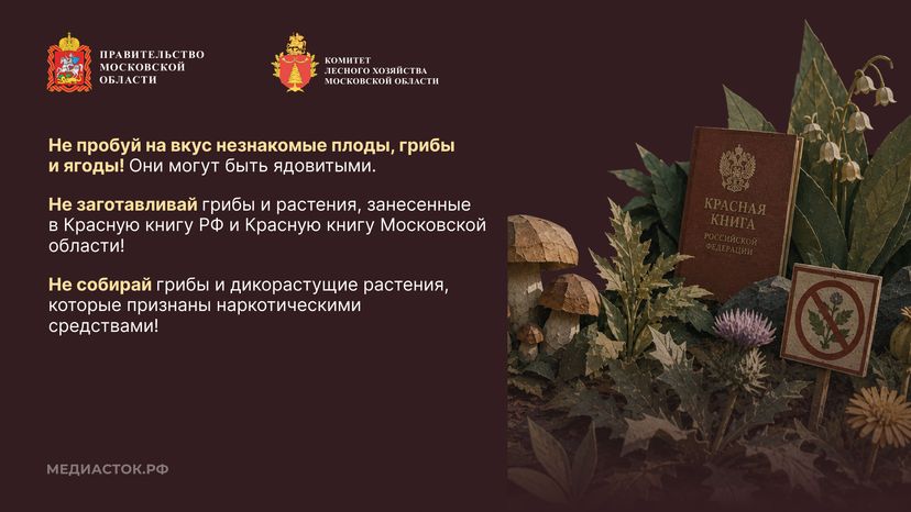 Пребывание граждан в лесах Горизонталь 08