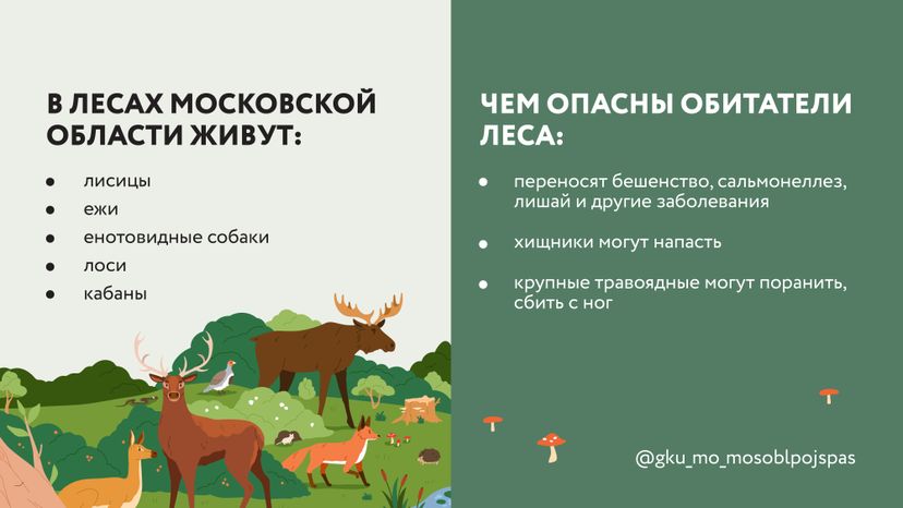 Горизонтали Безопасность в лесу 03.jpg